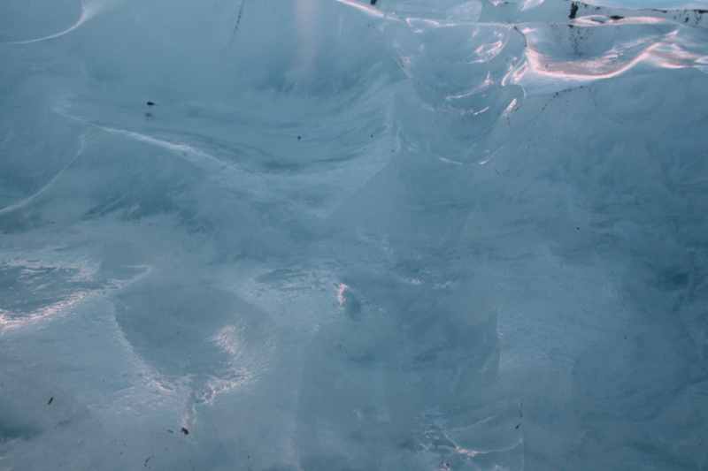 Nieuw-Zeeland 2011 - 1463